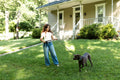 Black Diamond Summit Wire Gate Dog Leash