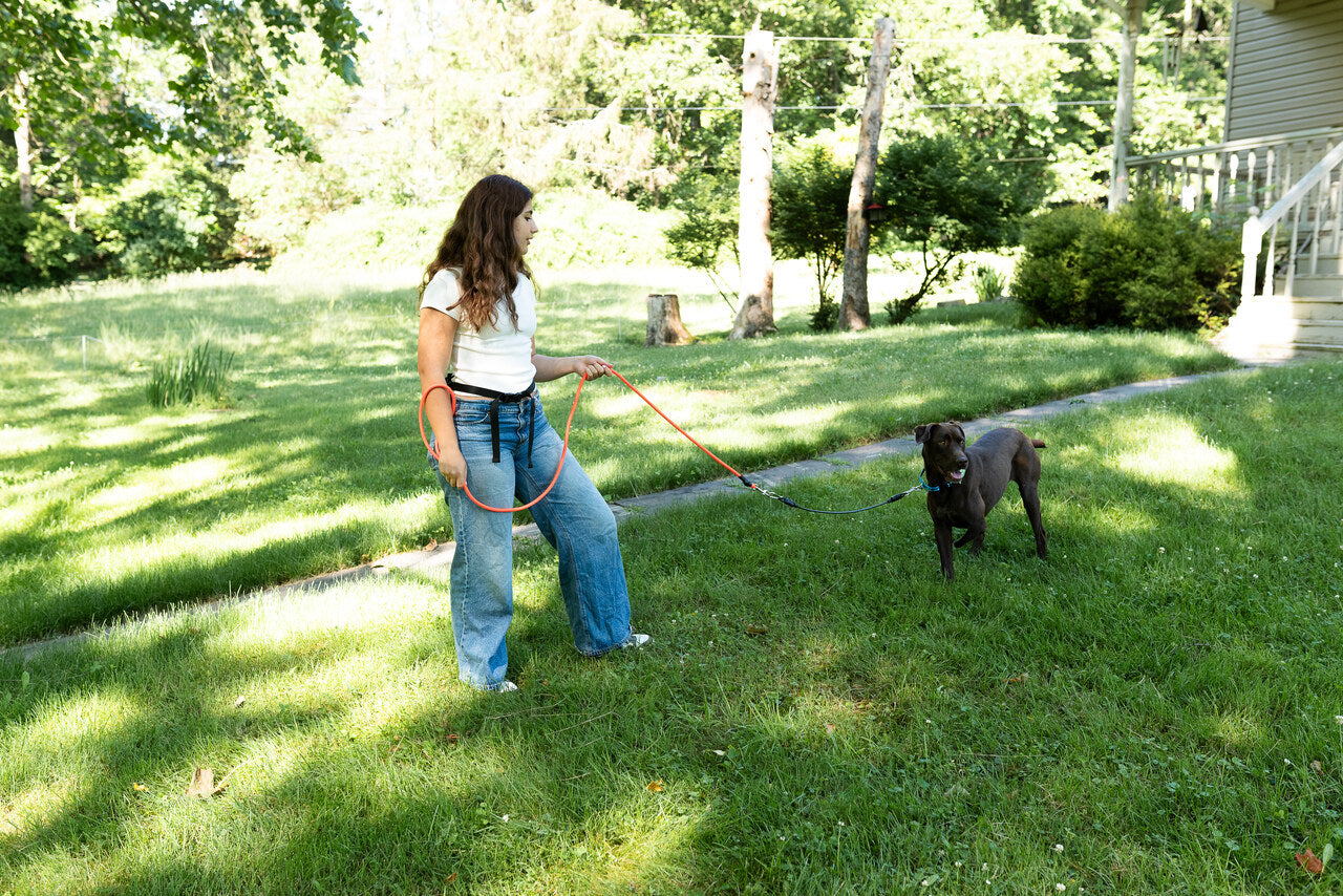 Leash Leader
