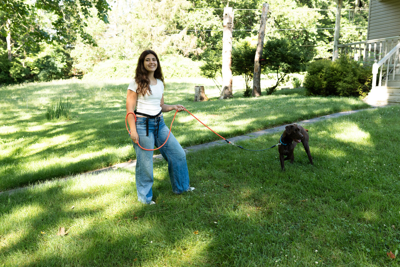 Leash Leader