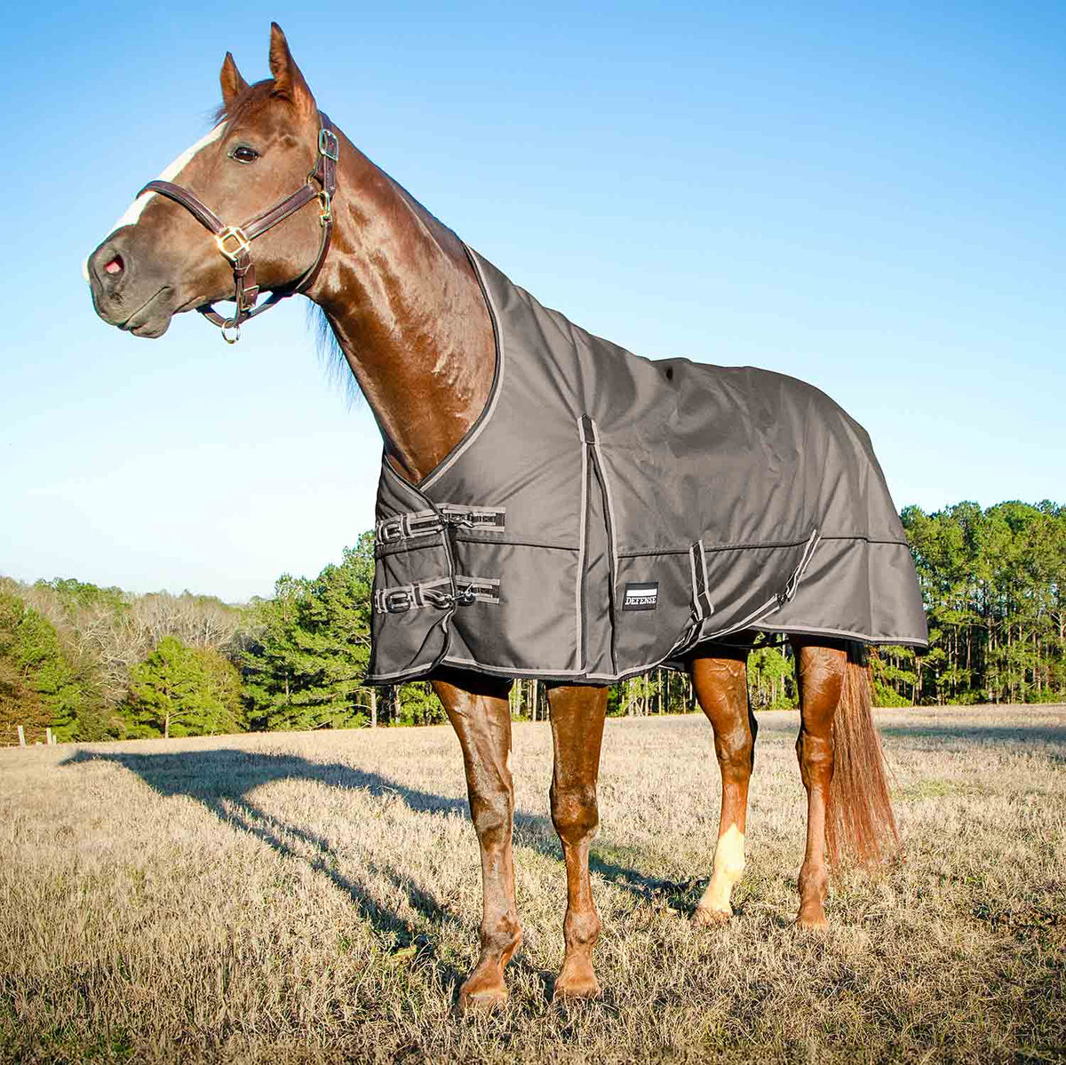 Jeffers Poplar Head "Defense" 1680 Denier Turnout Blanket with High Neck, 240 Gram, Plymouth Brown