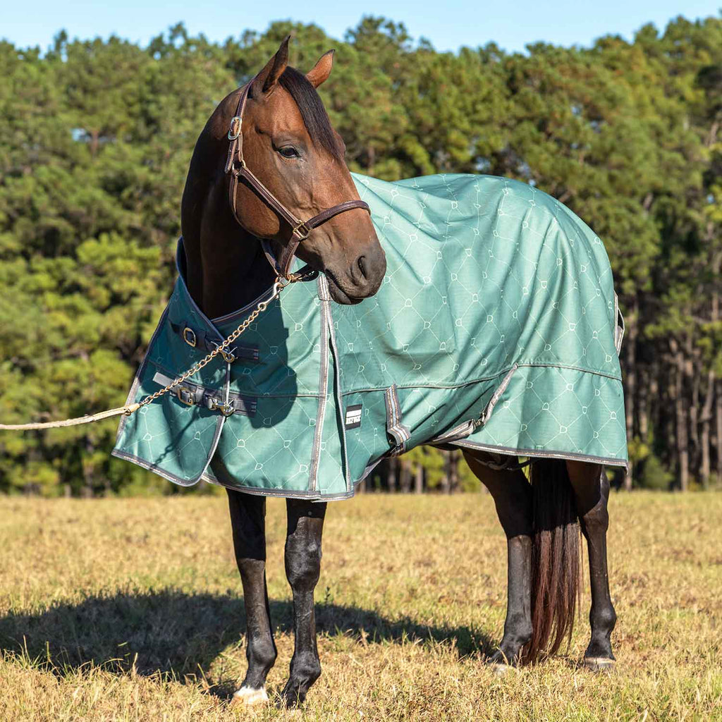Jeffers Poplar Head Uniquely English 1200D Turnout Sheet, 0g - Waterproof & Breathable Lightweight Horse Blanket