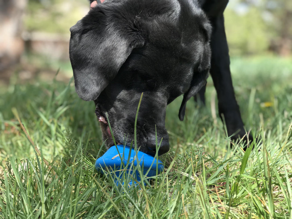 Flying Saucer Dog Toy - Durable UFO Chew Toy & Treat Dispenser | USA Made