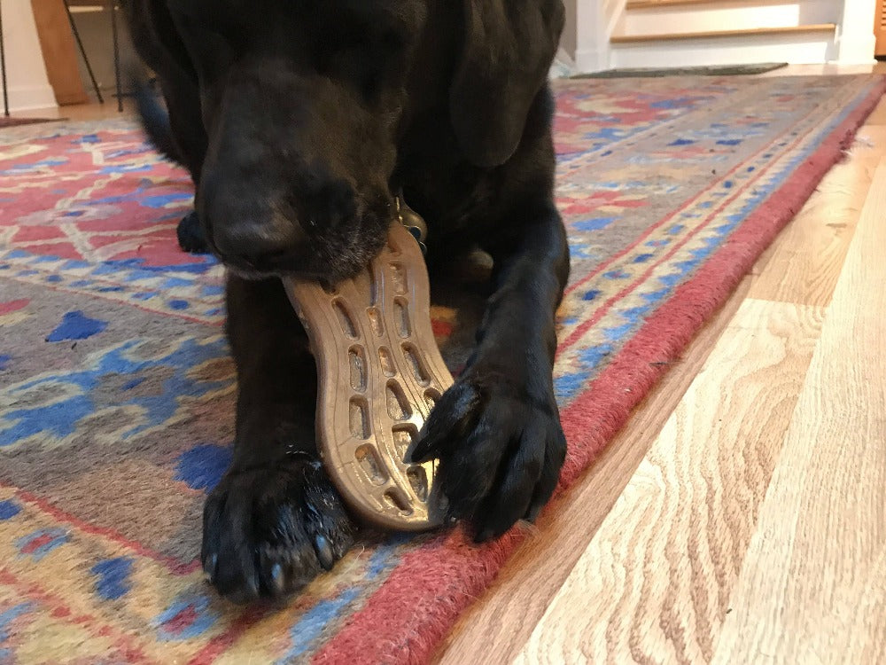 Peanut Nylon Dog Chew Toy | Ultra-Durable for Aggressive Chewers | SodaPup